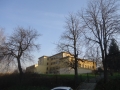 DSC06197