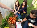 Školski plastenik tokom ljeta i Eko sekcija